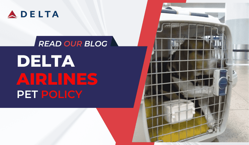 Delta Airlines Pet Policy